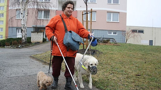 Nevidomá Zdenka Borýsková s vodicím psem